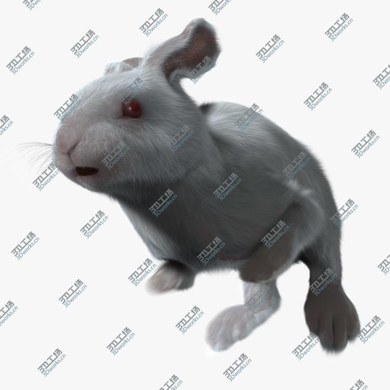 images/goods_img/202104023/Rabbit White (ANIMATED) (FUR)/1.jpg